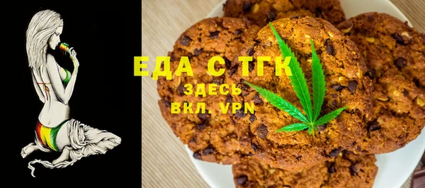 дживик Инта
