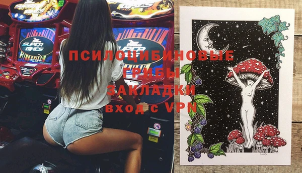 прущие крисы Балахна