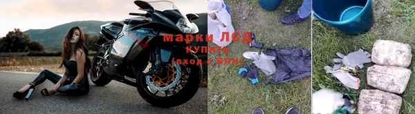 прущие крисы Балахна