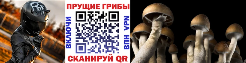 Псилоцибиновые грибы Magic Shrooms  Ревда 